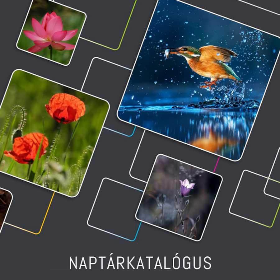 ADGIFT Egyedi naptár katalógus - reklámtárgy emblémázás, céges ajándék gyártás