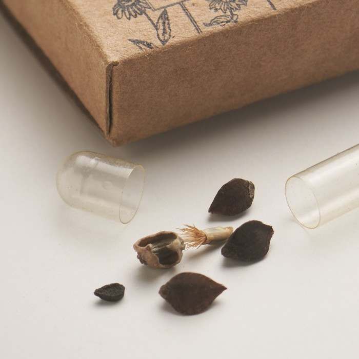 Reklámajándék | Flomix Virágmag keverék korong, bézs