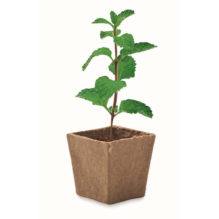 Reklámajándék | Mint Kit Menta ültetőkészlet, bézs